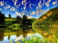 Naturaleza Serena: Un Reflejo Vibrante de la Naturaleza en un Lago Tranquilo