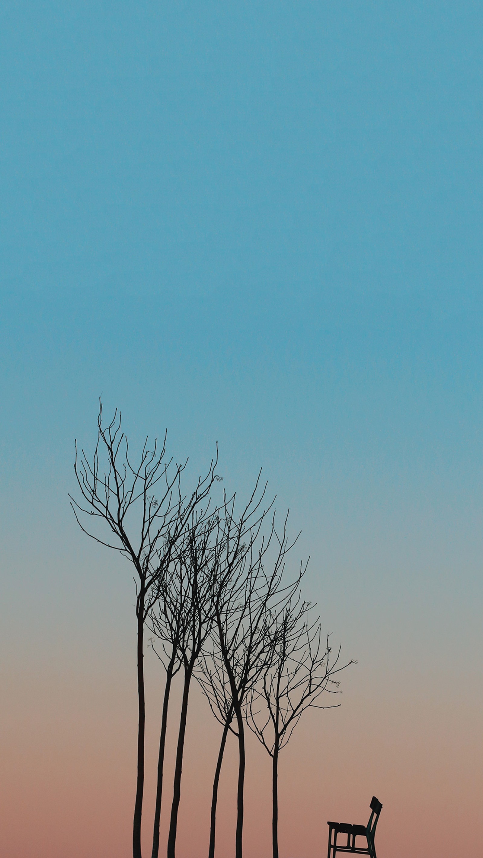 There is a bench and a tree in the middle of a field (blue, gradient, hd, shilouette, simple)