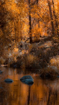 otoño, paisaje