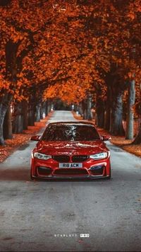 bmw, coche, coches, hd, rojo