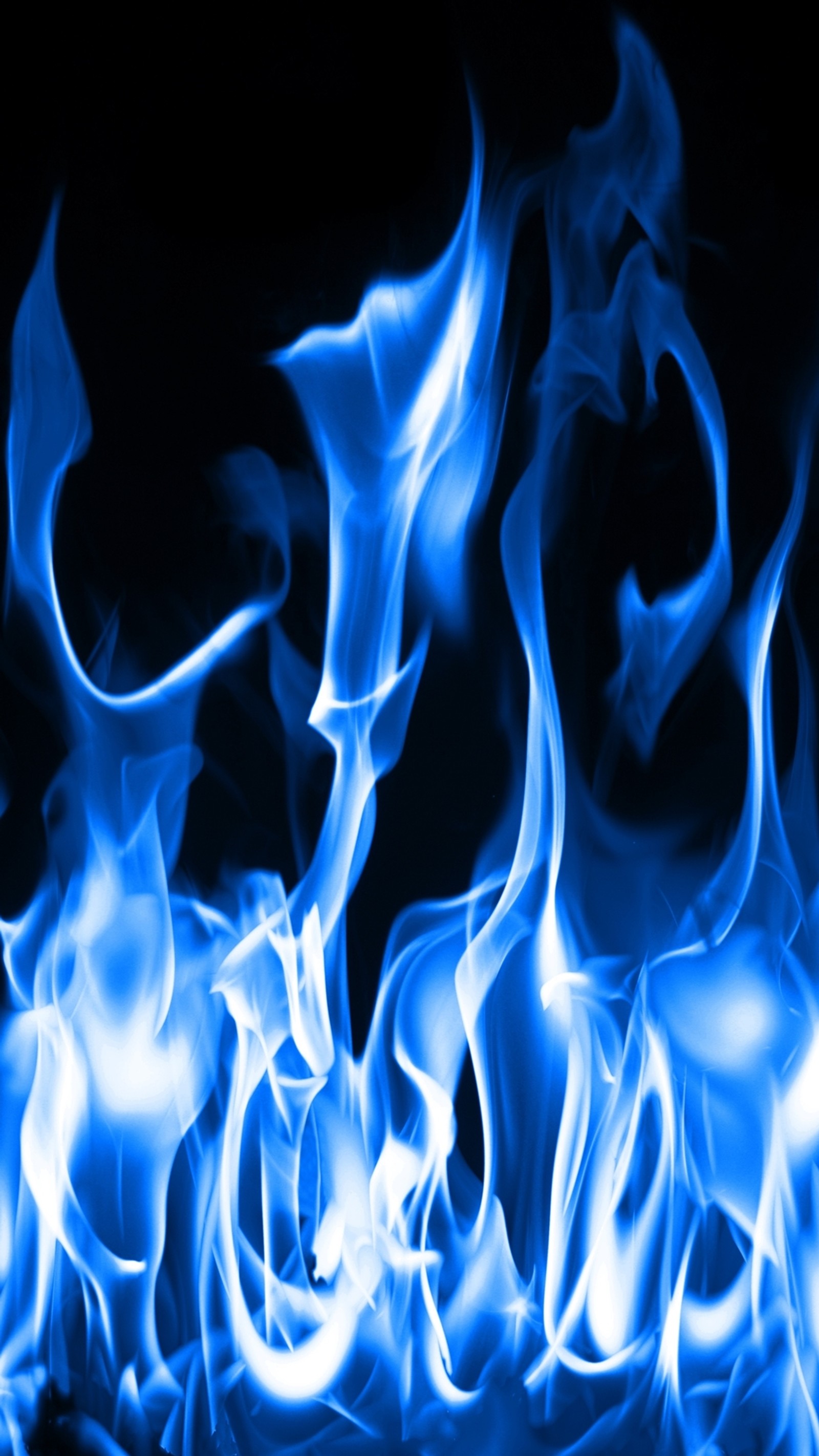 Les flammes sont bleues et blanches dans l'obscurité (bleu, feu, flamme)