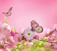 bloom, blossom, butterflies, flowers, pink wallpaper