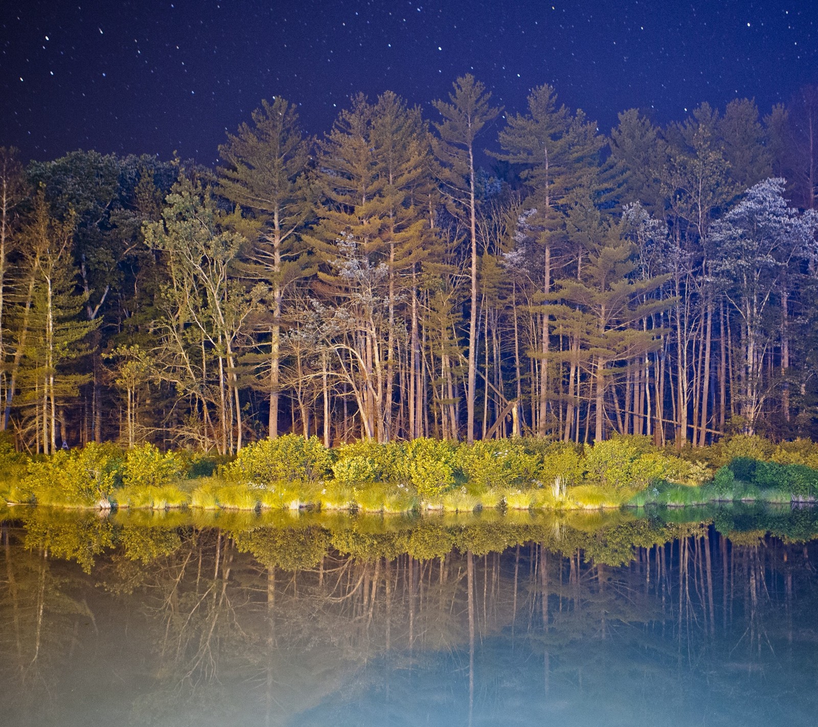 Trees are reflected in the water of a lake at night (android, forest, google, kitkat, lg)