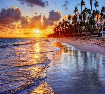 Playa tropical al atardecer con olas doradas y palmeras