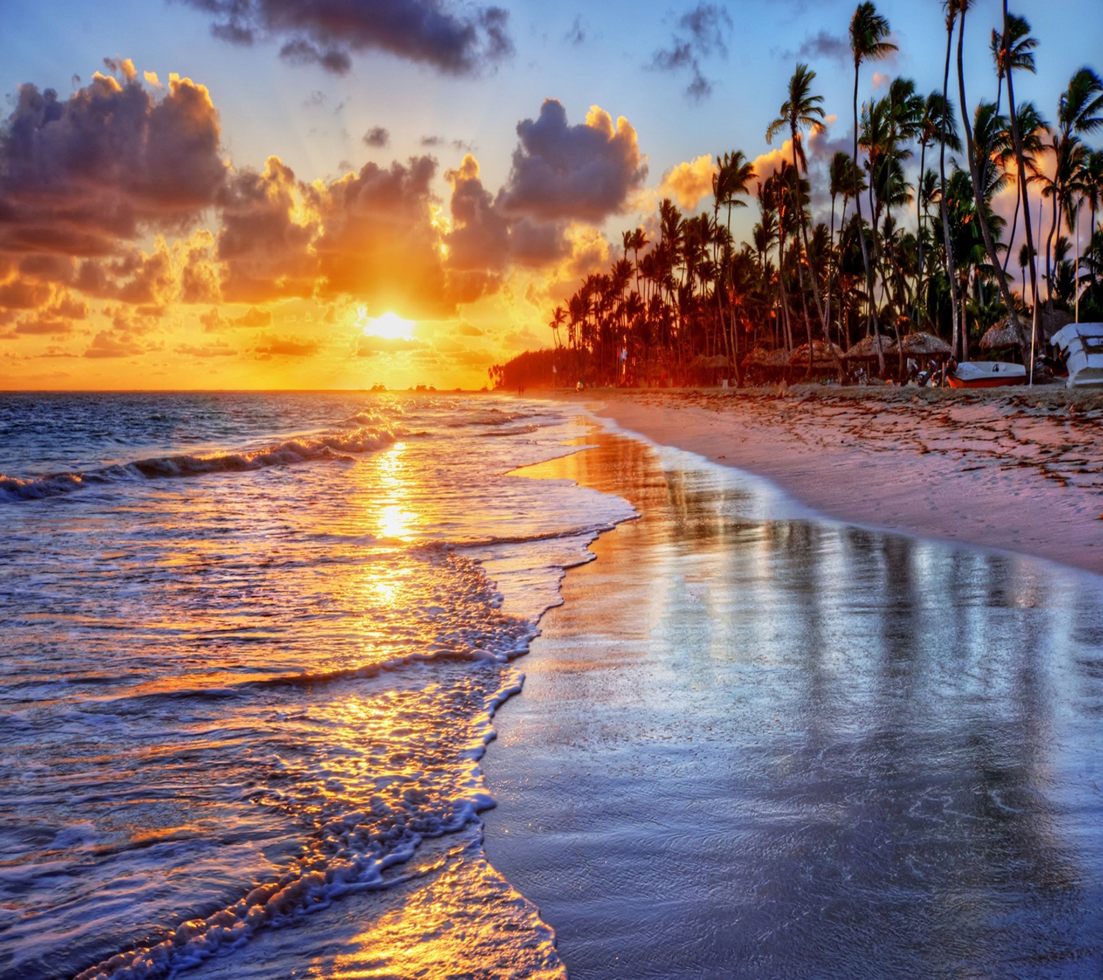 A view of a beach with palm trees and a sunset (beach, tropical)