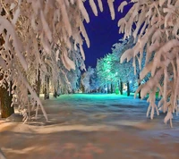 winter wallpaper