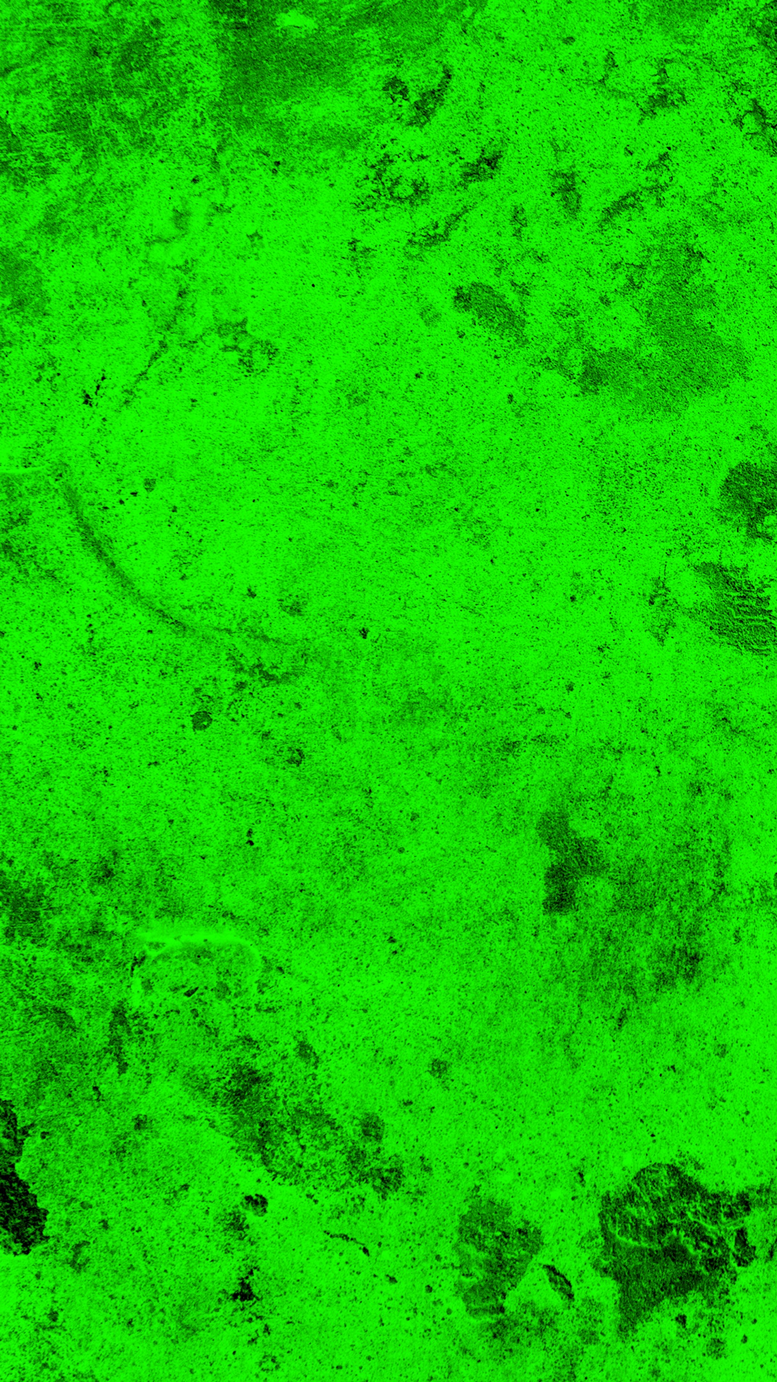 A close up of a green background with a black and white dog (abstract, green, grunge, iphone, iphone7plus)