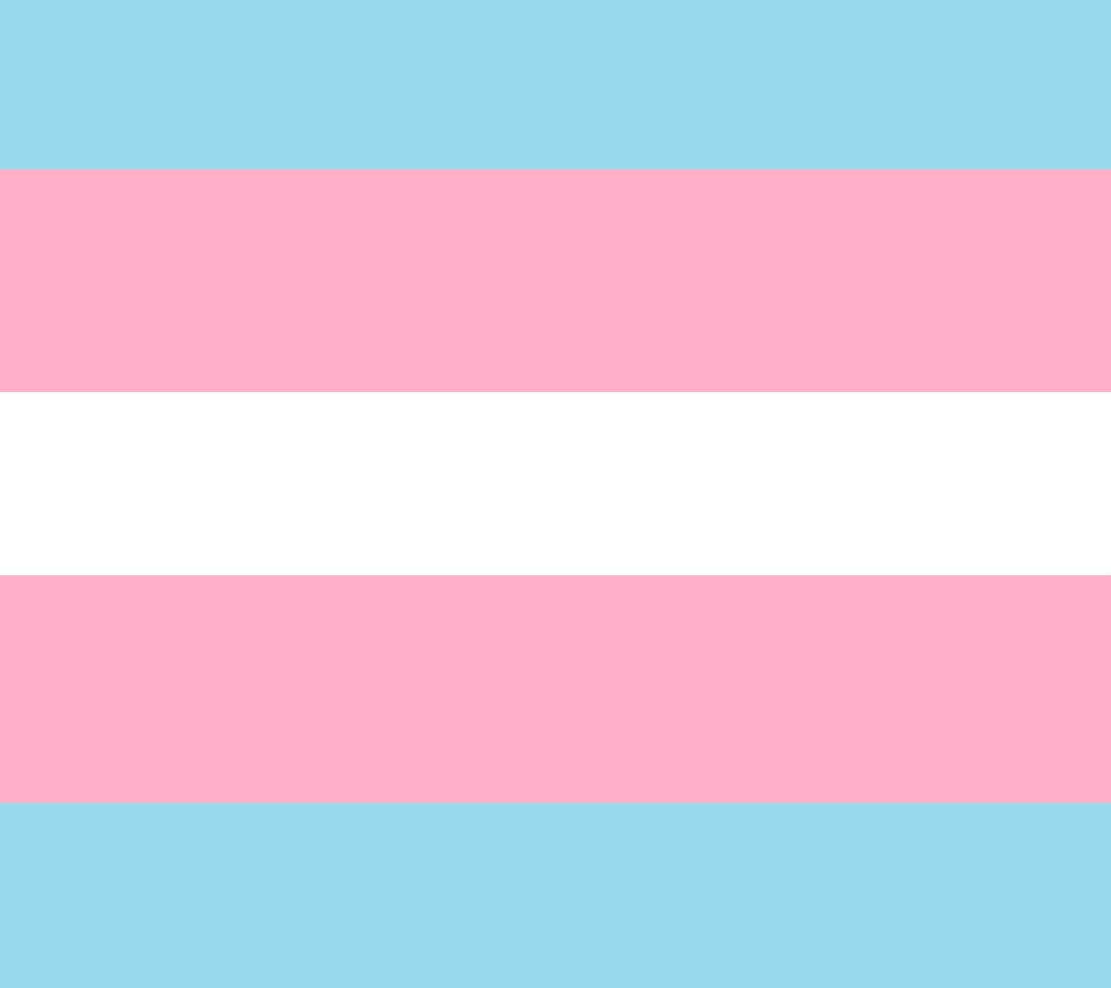 lgbt, trans, trans pride, transgender pride Download Wallpaper