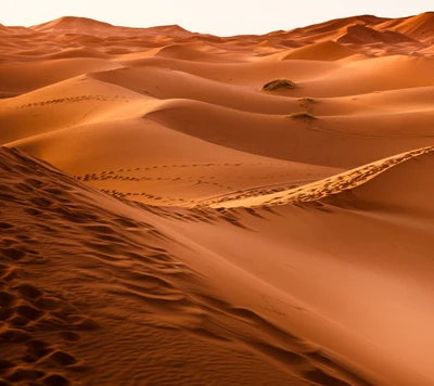 Golden Sand Dunes at Sunset