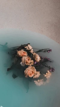 Delicadas rosas híbridas de té flotando en aguas serenas