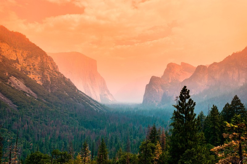 Вид на долину с горами вдали и закатом (долина йосемити, yosemite valley, лето, зелёные деревья, оранжевое небо)