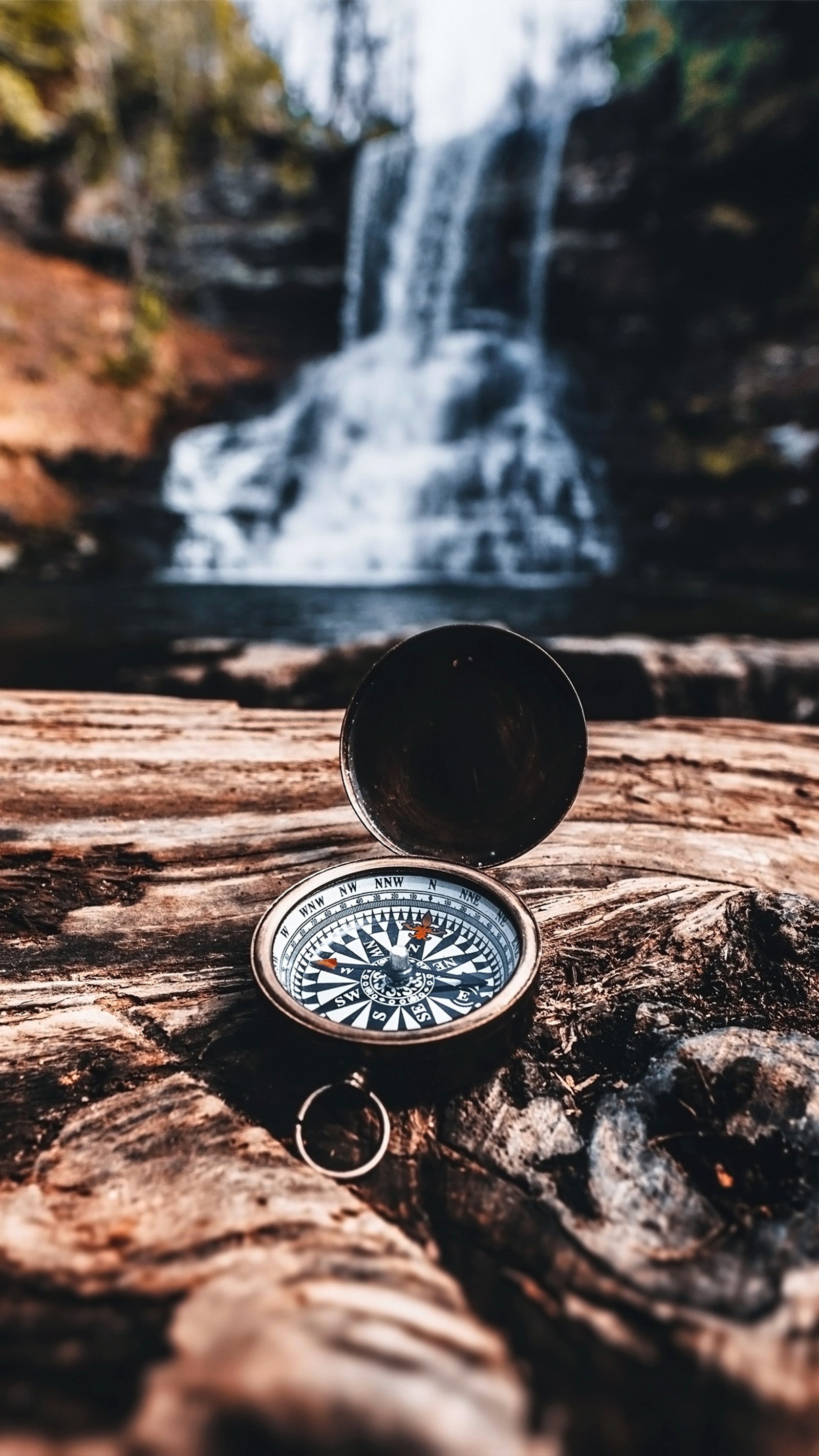 Um close em uma bússola em um tronco de árvore perto de uma cachoeira (água, natureza, madeira, cachoeira, árvore)