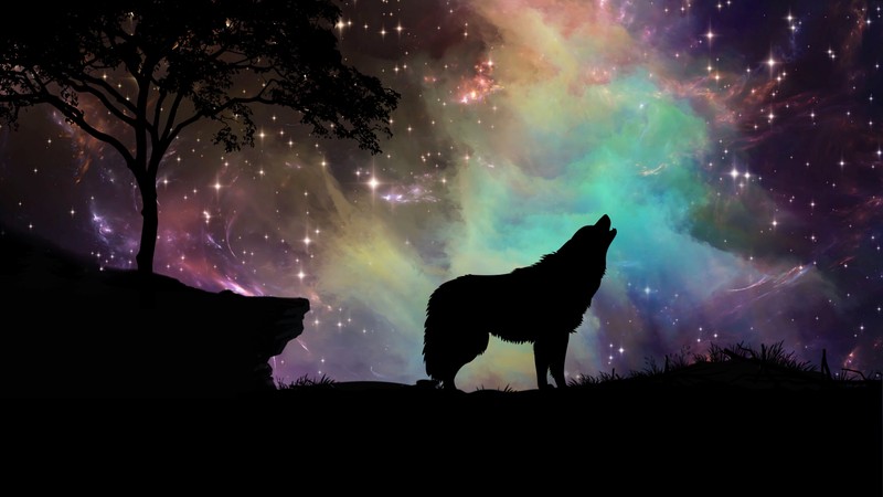 A lone wolf standing in the grass with a tree in the background (purple, night, starry sky, sky, dark)