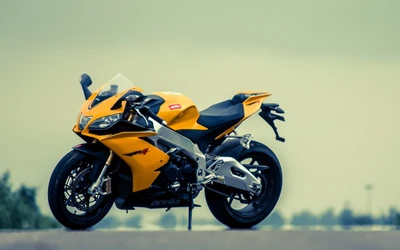 Aprilia RSV4: A striking yellow superbike showcasing sleek design and powerful performance.