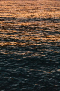 Vagues océaniques sereines reflétant la lueur du coucher de soleil