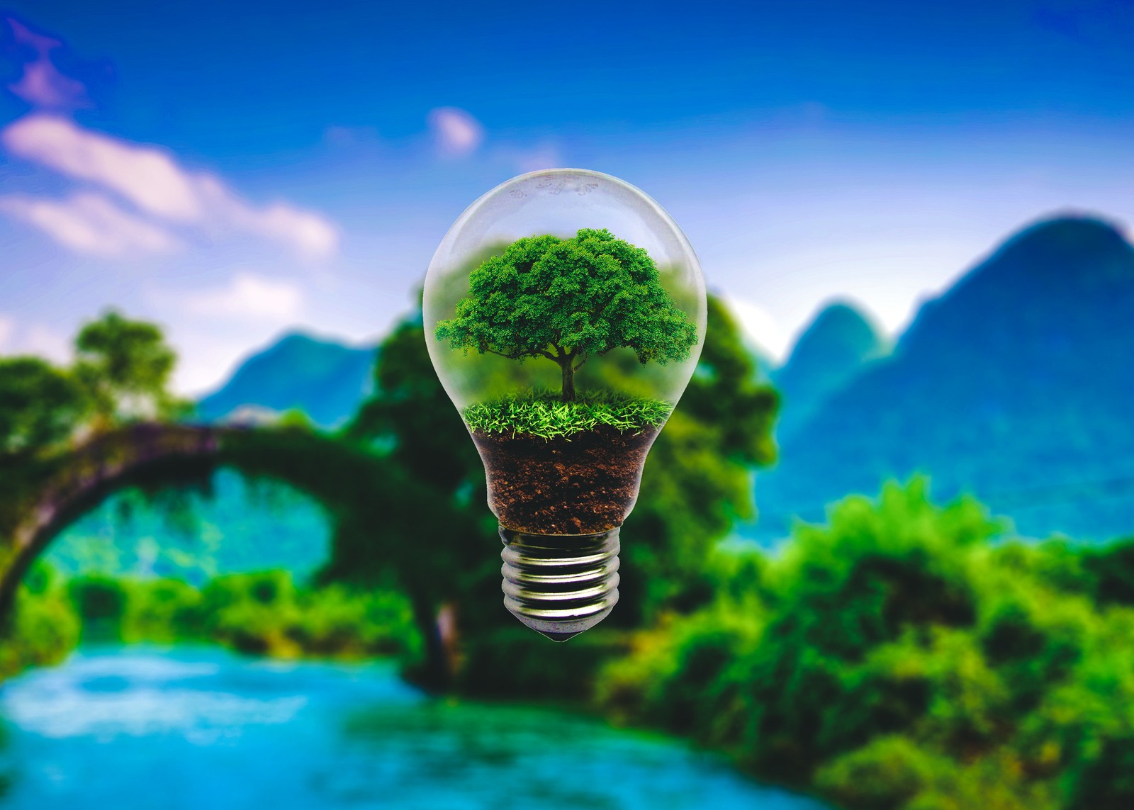 A light bulb with a tree inside of it hanging over a river (dream, green)