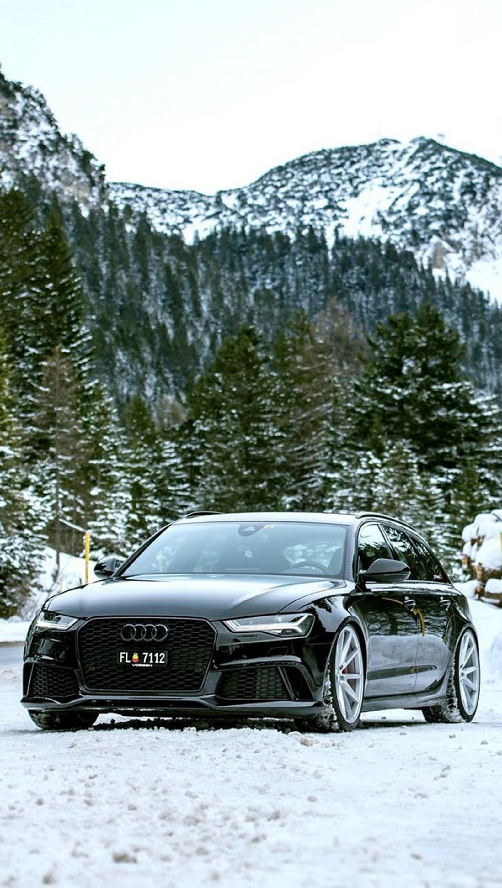 Una jirafa conduciendo un coche audi negro en una carretera nevada (audi, coche, invierno)