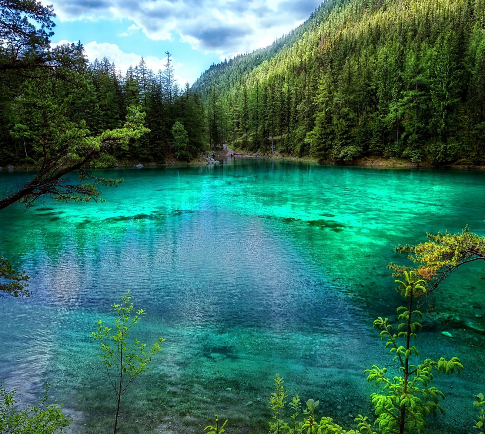 Gros plan d'un lac avec une forêt en arrière-plan (beau, forêt, vert, lac, paysage)