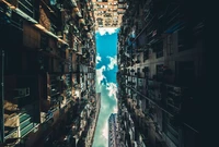 up, sky, tree, building, architecture