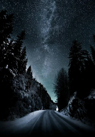 Noite de inverno estrada sob um céu estrelado