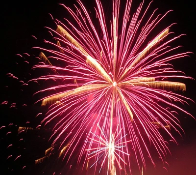 Éblouissants feux d'artifice roses illuminant le ciel nocturne