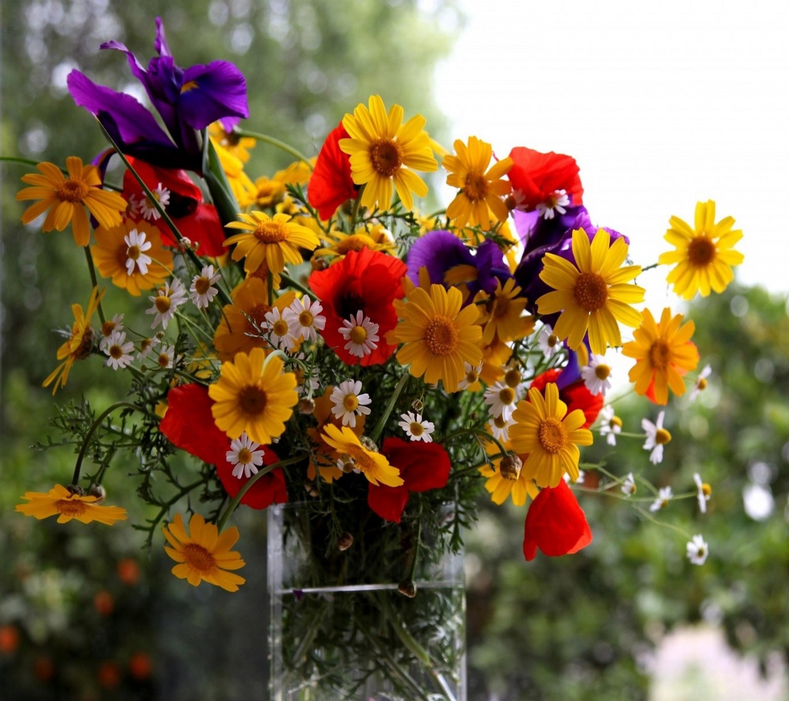 Eine vase mit blumen steht auf einem tisch (abej, beograd, blumenstrauß, blumen, mädchen)