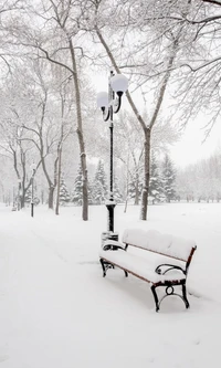 banco, paisagem, árvores do parque, neve inverno