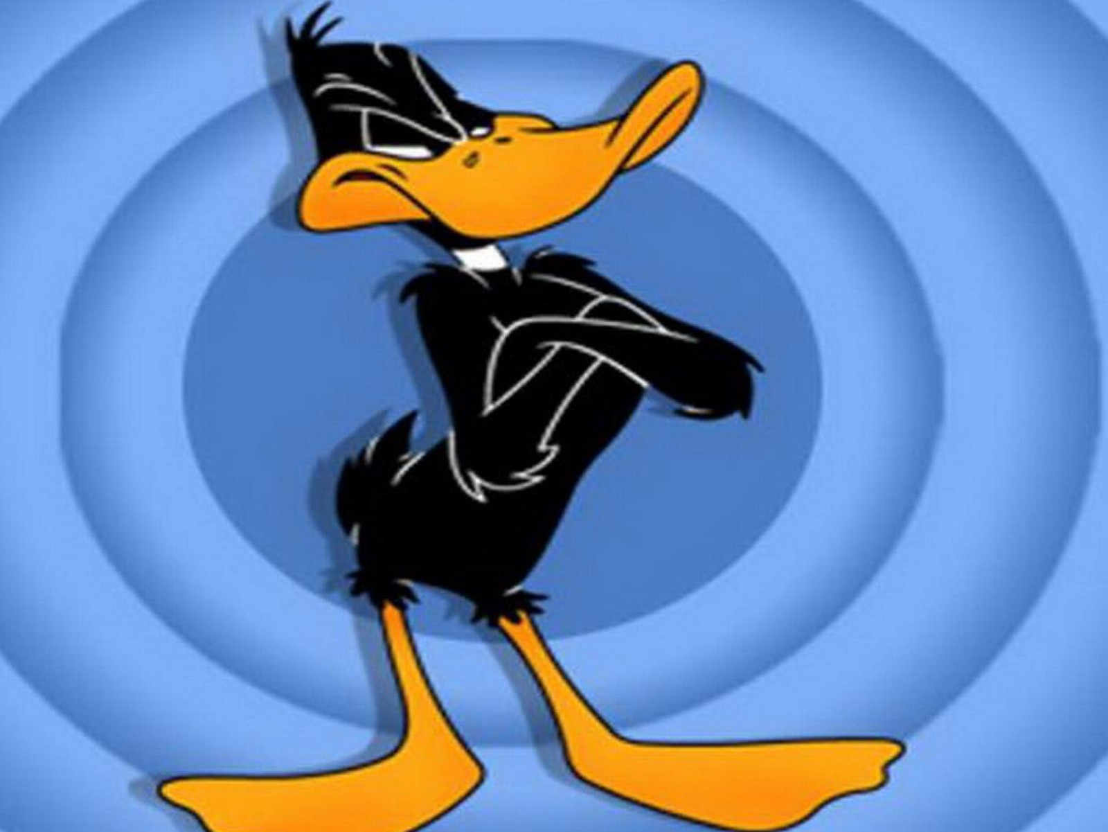 Un canard cartoon avec un chapeau noir et une chemise noire (des dessins animés, daffy duck)