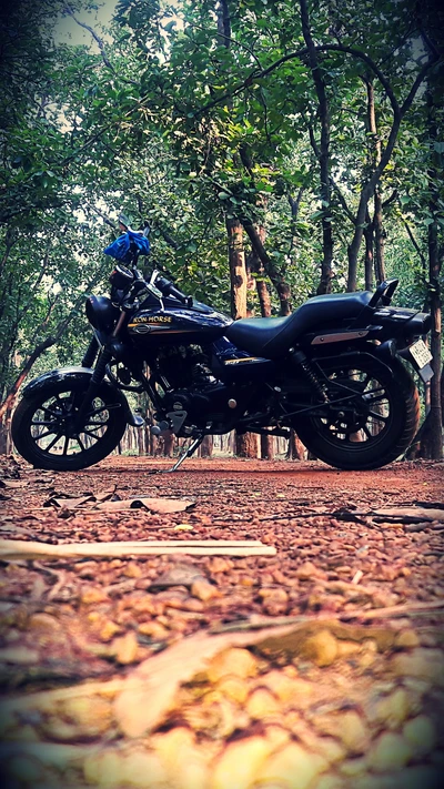 Fuga do Café do Piloto: Uma Motocicleta na Natureza