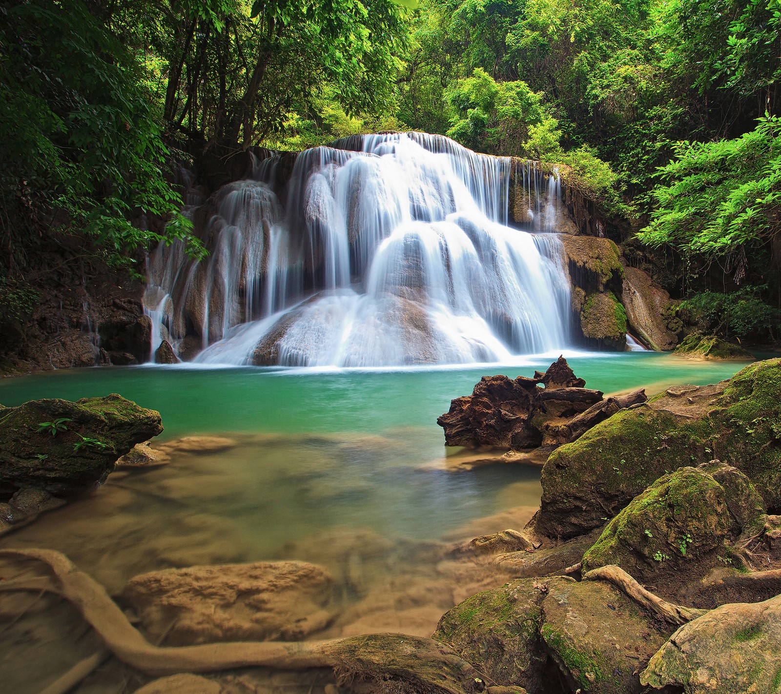 Un gros plan d'une cascade dans une forêt avec des rochers et de l'eau (forêt, vert, paysage, nature, flueve)