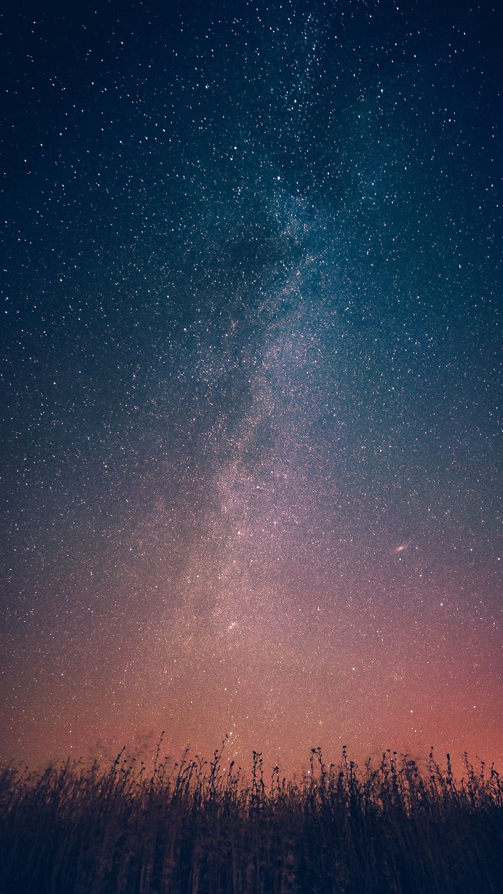 Uma visão de um campo com um céu cheio de estrelas (estrela, via láctea, azul, atmosfera, noite)