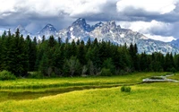 Majestuosa cordillera de montañas que domina un vibrante prado enmarcado por exuberantes bosques, mostrando la belleza de la naturaleza salvaje y ecosistemas diversos.