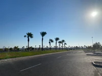 Dia ensolarado em uma estrada ladeada de palmeiras