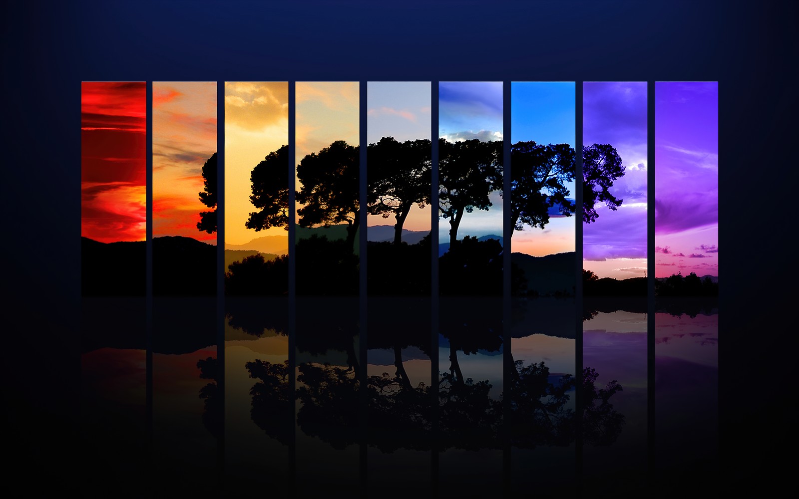 Descargar fondo de pantalla árbol, atardecer, luz del día, noche, crepúsculo