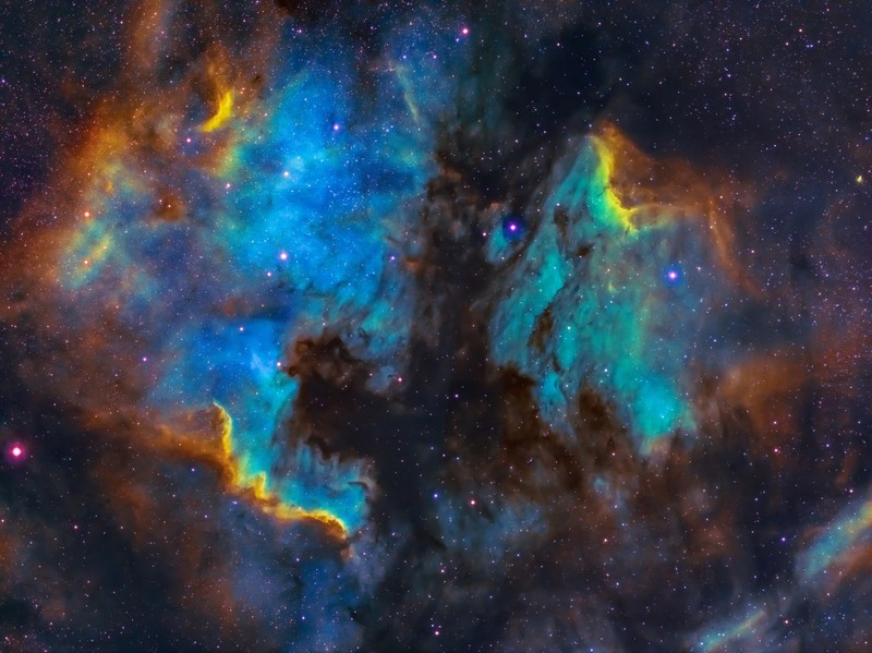 Крупный план очень большого звездного неба с множеством звезд (pelican nebula, cygnus, голубая галактика, астрономия, звезды)