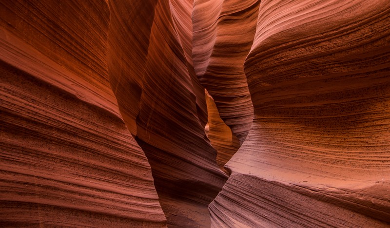 Вид узкого зазора в каньоне с каменной стеной (гранд каньон, grand canyon, каньон, форма, пейзаж)