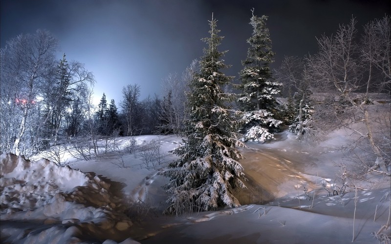 Снежный пейзаж с деревьями и ручьем посередине (зима, снег, природа, замораживание, дерево)