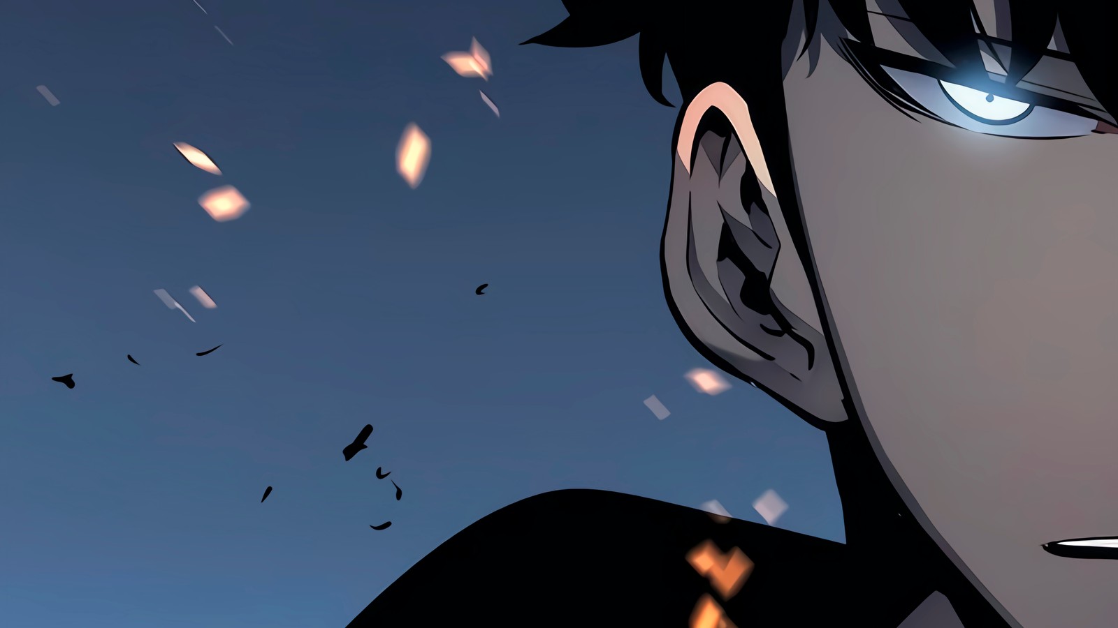 Anime boy staring at the camera with a lot of birds flying around him (solo leveling, manhwa, anime, sung jin woo)