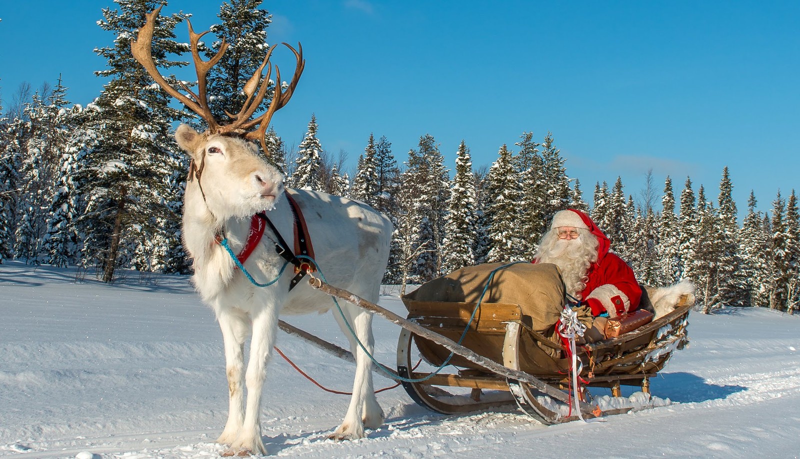 Скачать обои santa claus village, северный олень, северное олени санта клауса, санта клаус, рождество