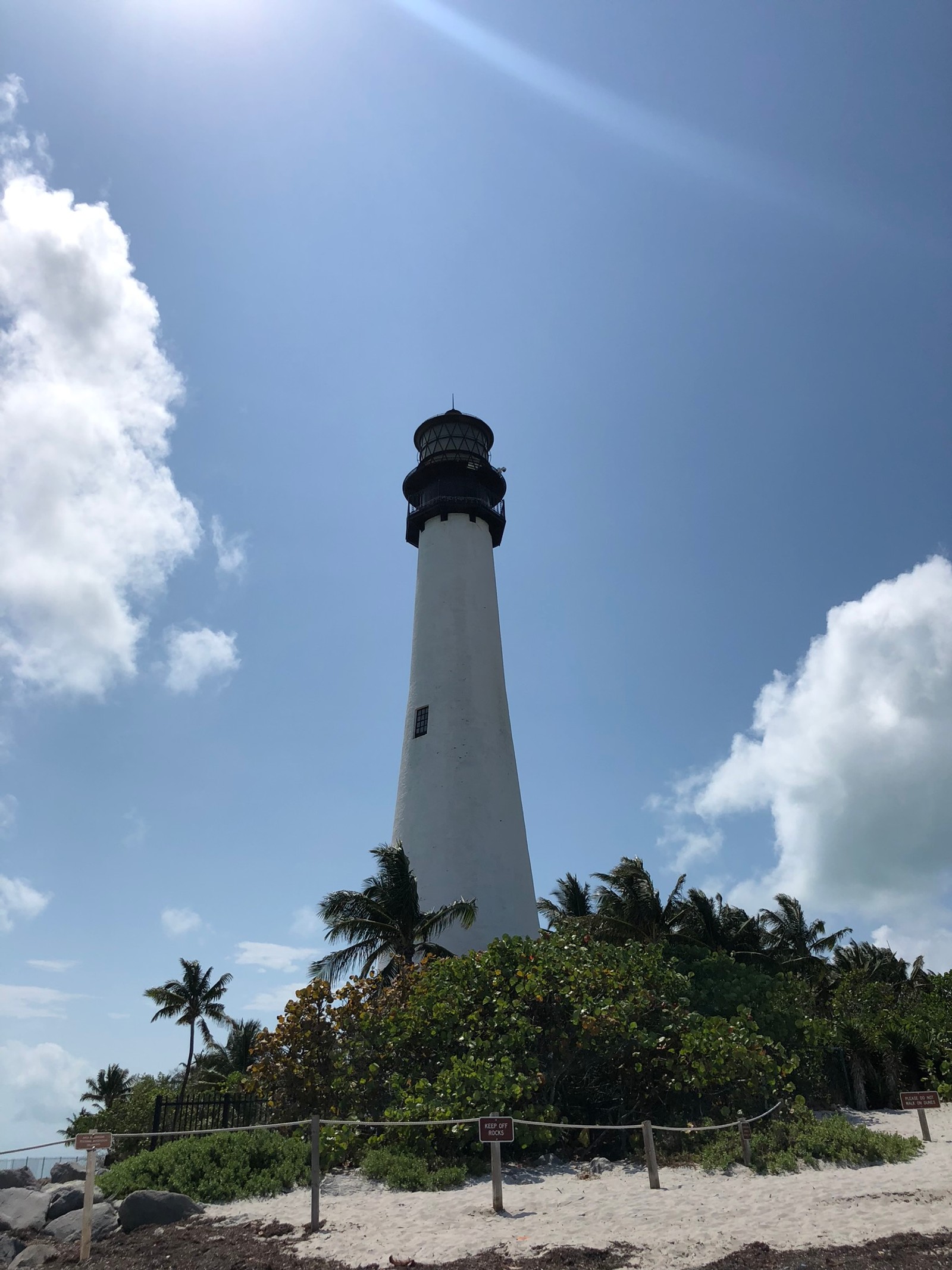 Арафед маяк на пляже с пальмами и синим небом (майами, майами бич, miami beach, маяк, растительность)