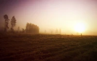 nature, morning, atmosphere, sunrise, field wallpaper