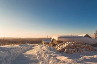 Sérénité hivernale : Un paysage enneigé dans la toundra arctique