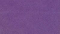 lilac, violet, purple, magenta, blue wallpaper