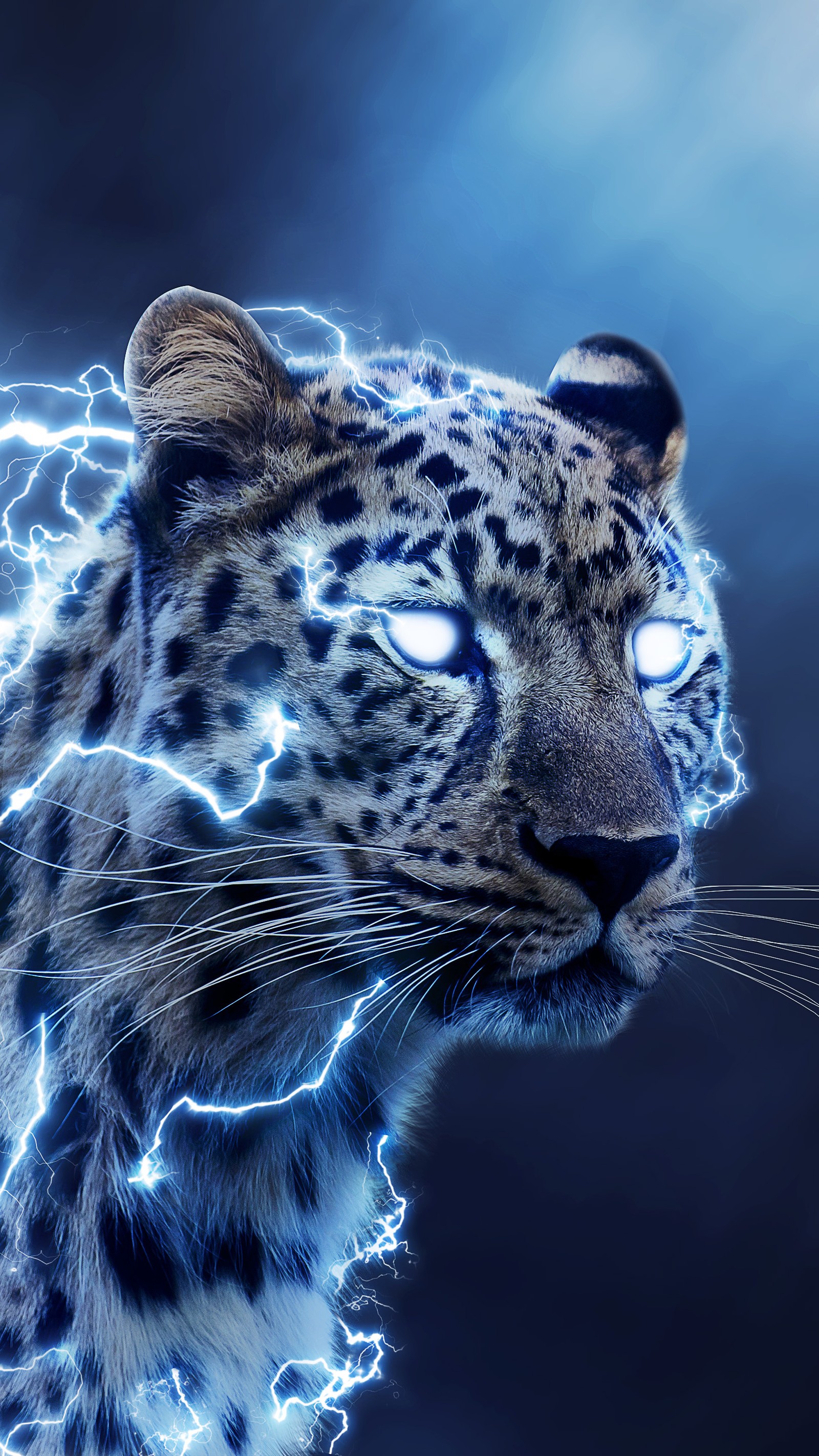 speedster, animal, bolt, cat, cheetah Download Wallpaper