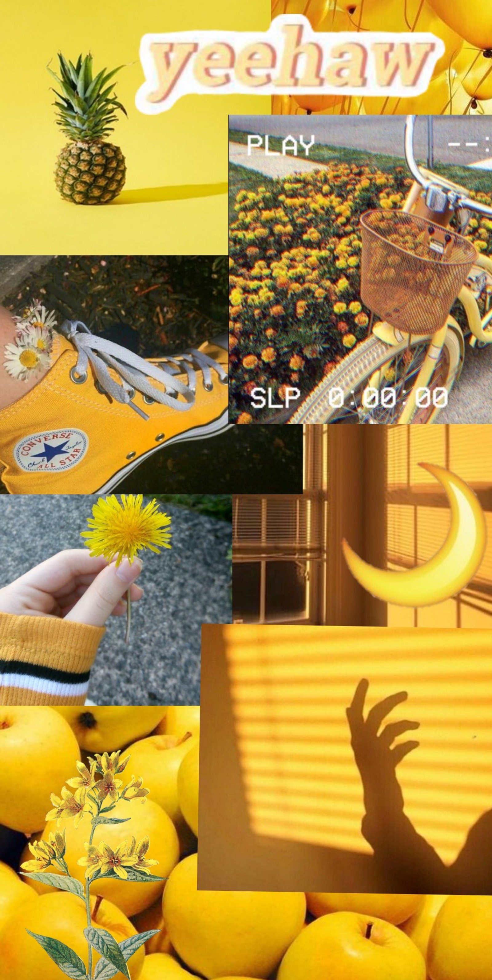 Yellow aesthetic aesthetic aesthetic aesthetic aesthetic aesthetic aesthetic aesthetic aesthetic aesthetic aesthetic aesthetic aesthetic aesthetic aesthetic aesthetic aesthetic aesthetic (aesthetic, flowers, pretty, sun, tumblr)