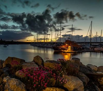 barcos, flores, gales, wales, água