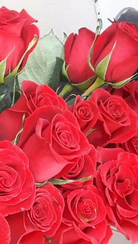 Rosas rojas románticas: un símbolo de amor en la naturaleza