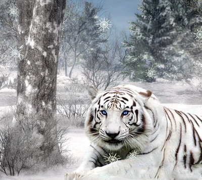 Tigre blanc majestueux dans un cadre forestier enneigé