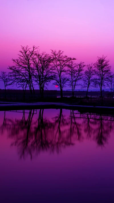 plage, pays des rêves, coucher de soleil, tropical