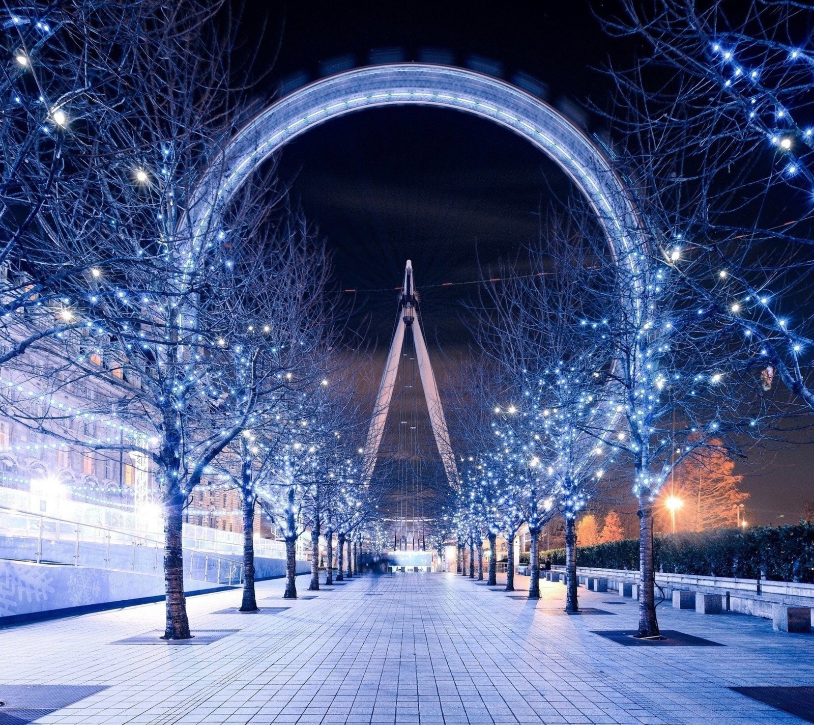 city, eye, lights, trees, winter wallpaper